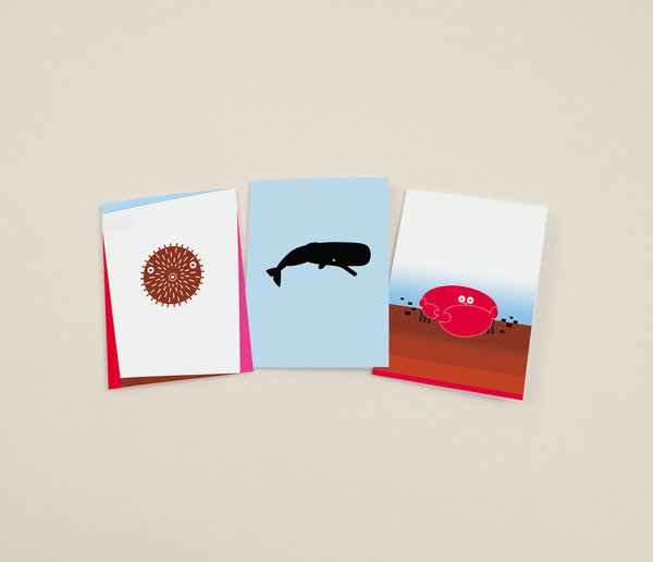 Grußkarten-Set "Tiere für Kinder" – 9 verschiedene Grußkarten in schöner Box